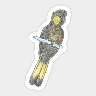 Yellow-tailed Black-cockatoo Sticker
